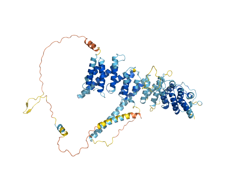 AlphaFold predicted structure of NOC3