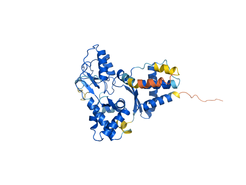 AlphaFold predicted structure of NSE1