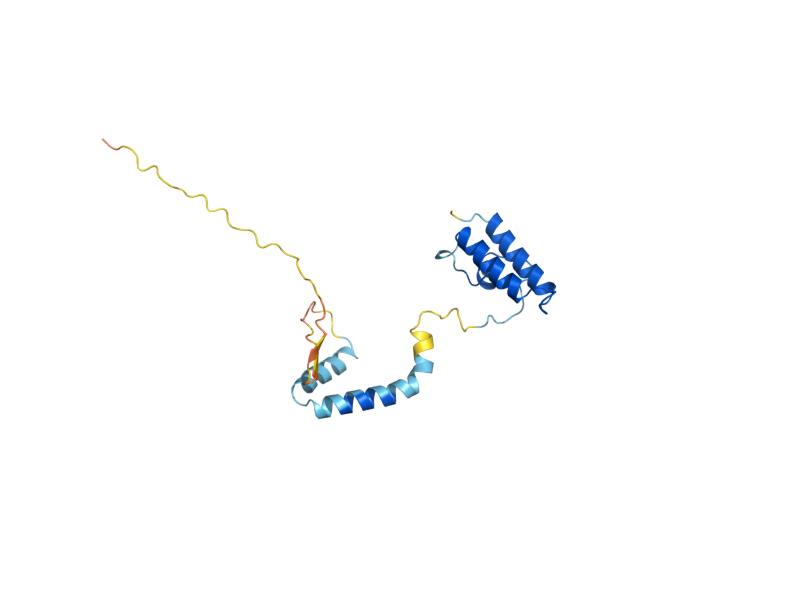 AlphaFold predicted structure of PAM18