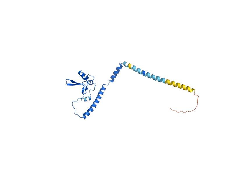 AlphaFold predicted structure of RLP24