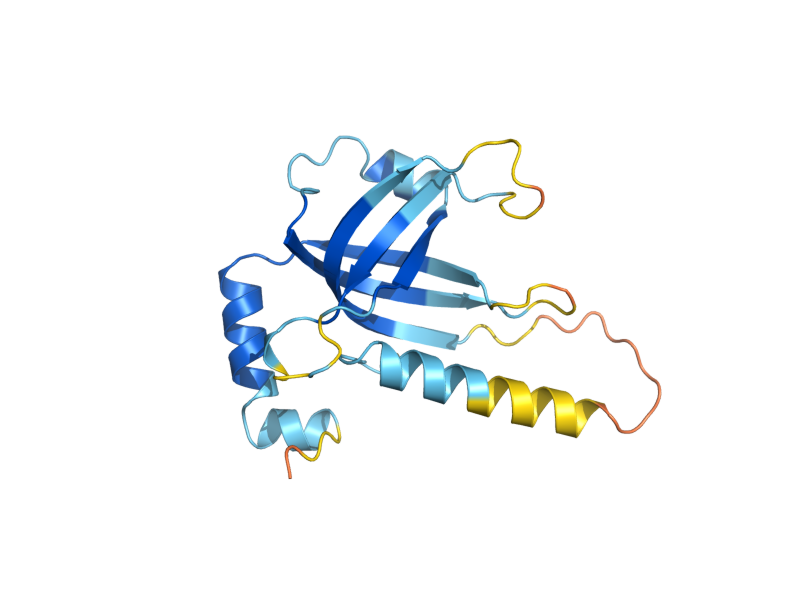 AlphaFold predicted structure of TEN1