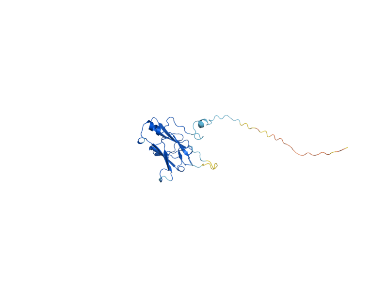 AlphaFold predicted structure of PML1