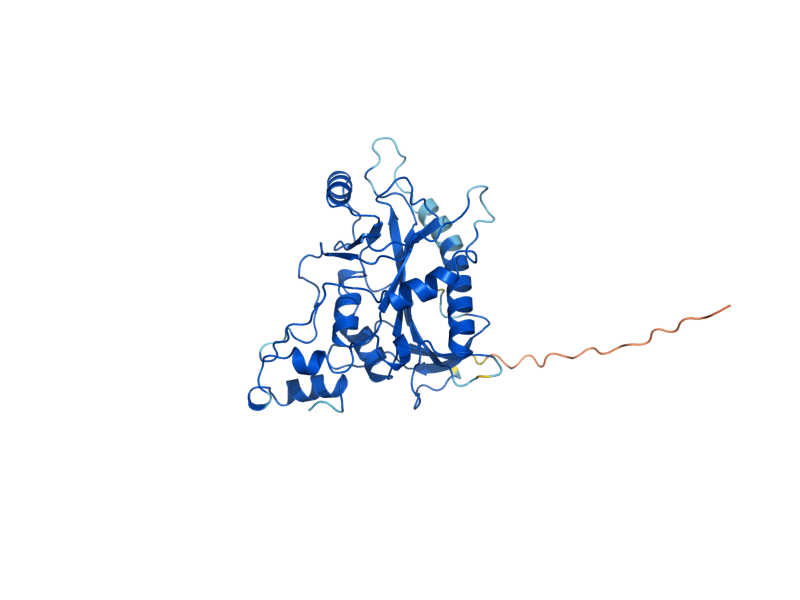 AlphaFold predicted structure of MEU1