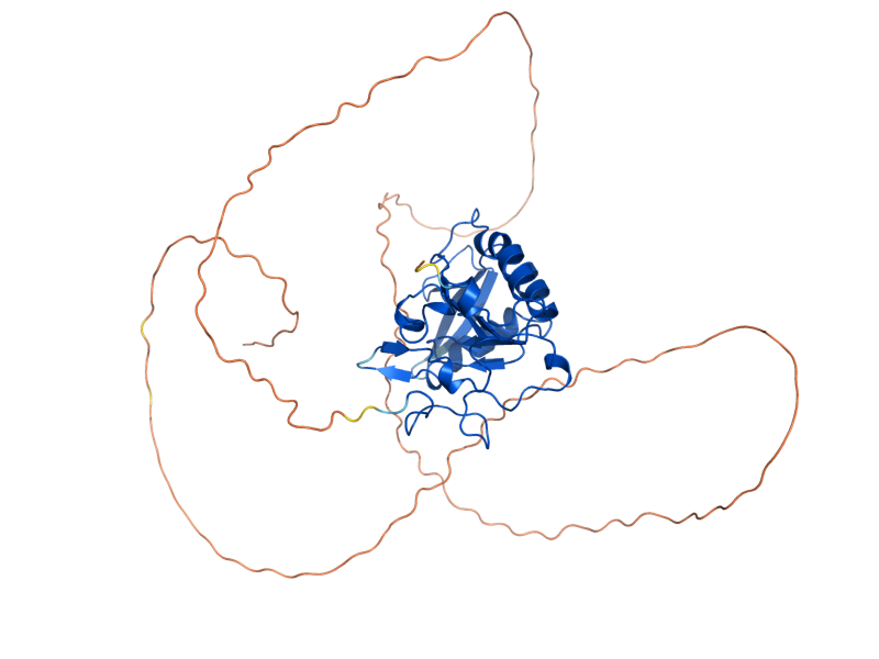 AlphaFold predicted structure of PSR2