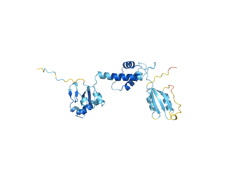 AlphaFold predicted structure of SDO1