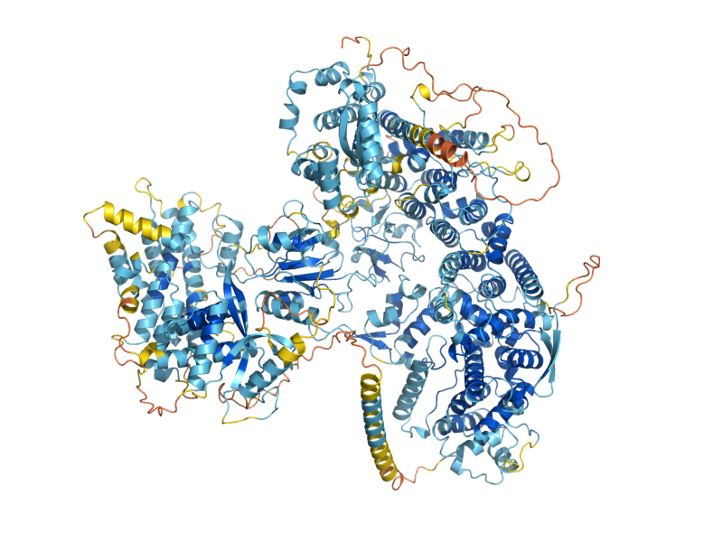 AlphaFold predicted structure of UBR2
