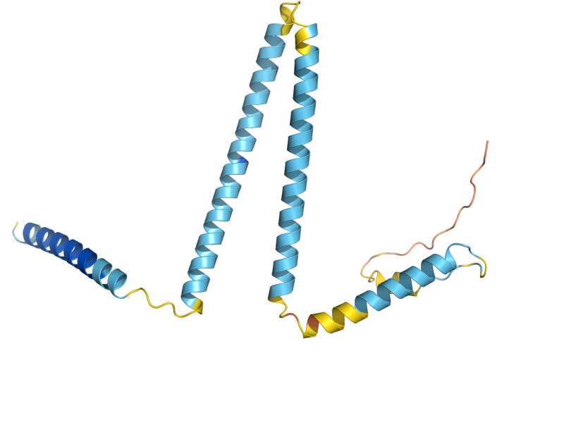 AlphaFold predicted structure of YLR031W