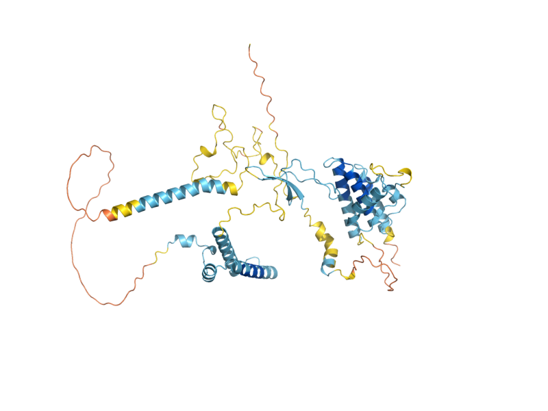 AlphaFold predicted structure of RSC58