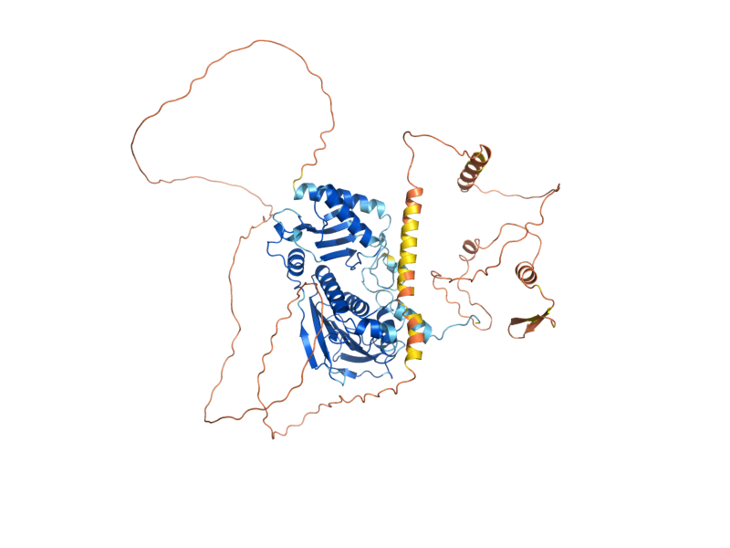 AlphaFold predicted structure of MLH2