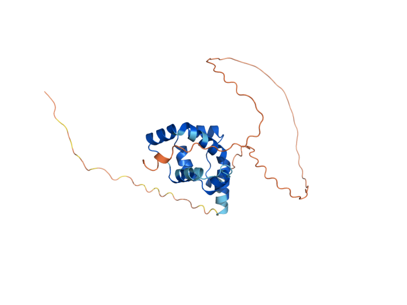 AlphaFold predicted structure of AFB1