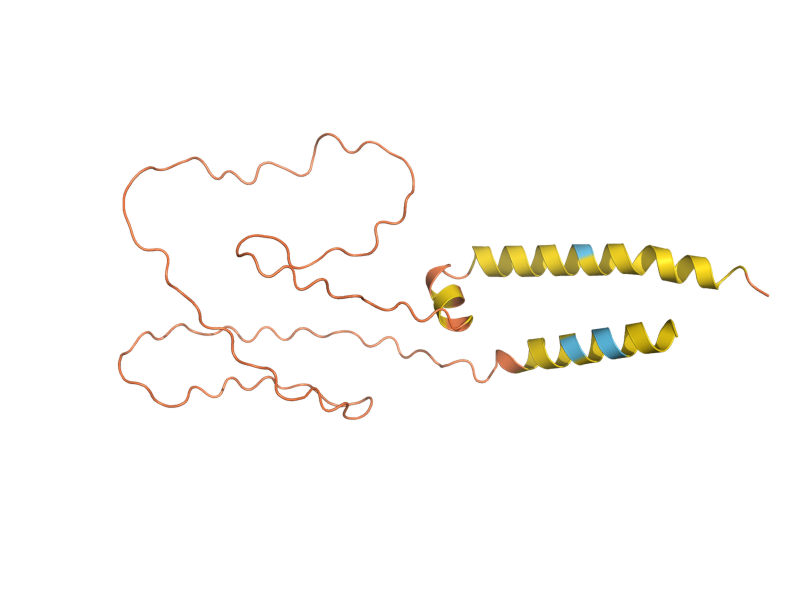 AlphaFold predicted structure of NFG1