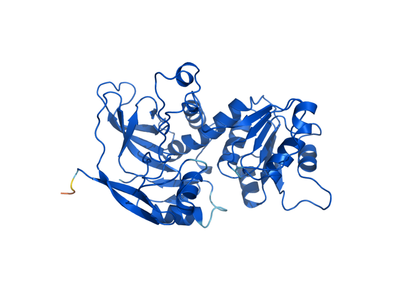 AlphaFold predicted structure of XYL2