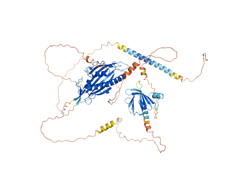 AlphaFold predicted structure of LAM6