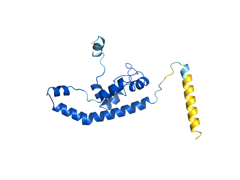 AlphaFold predicted structure of BUD20