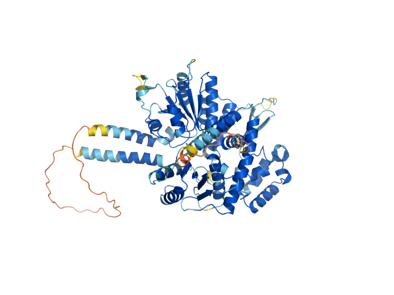 AlphaFold predicted structure of CDC45