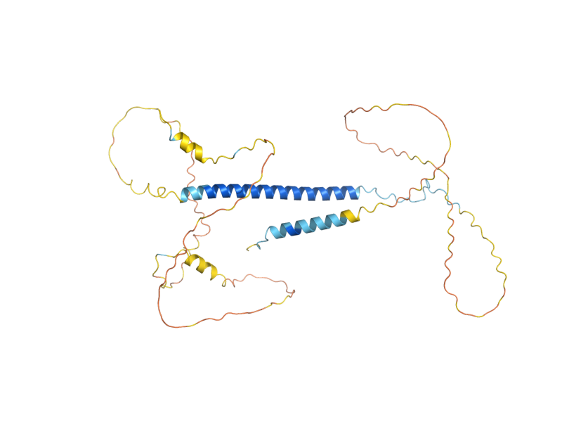 AlphaFold predicted structure of CSI2
