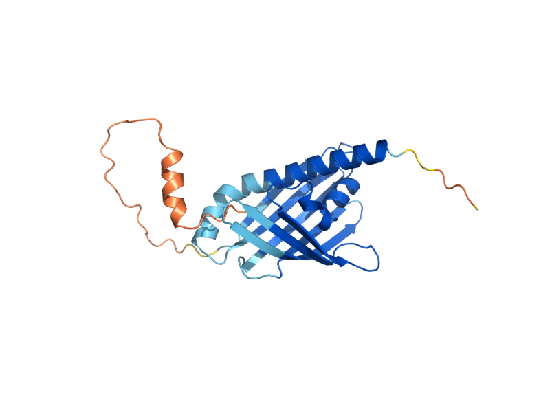 AlphaFold predicted structure of COQ10