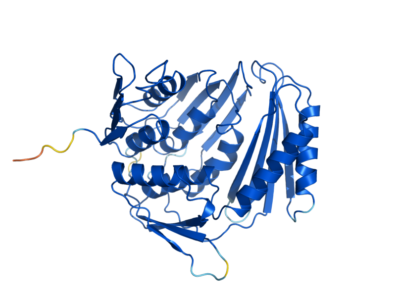 AlphaFold predicted structure of RCL1