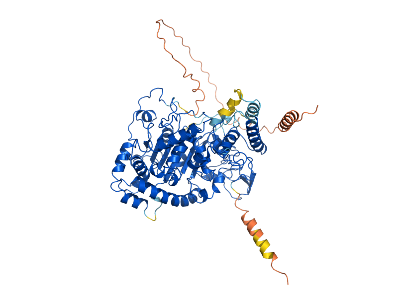 AlphaFold predicted structure of PLB3