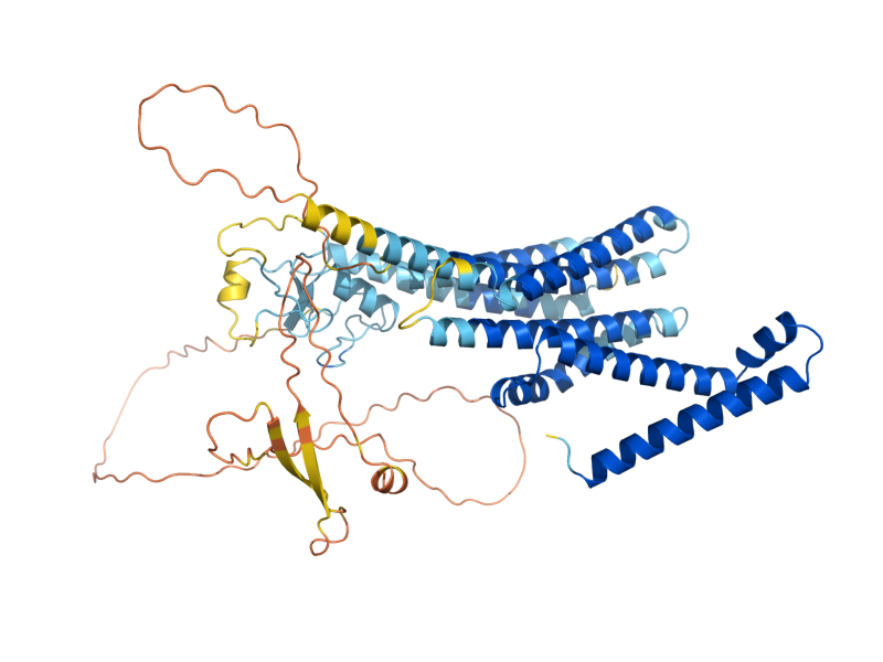 AlphaFold predicted structure of HRD1
