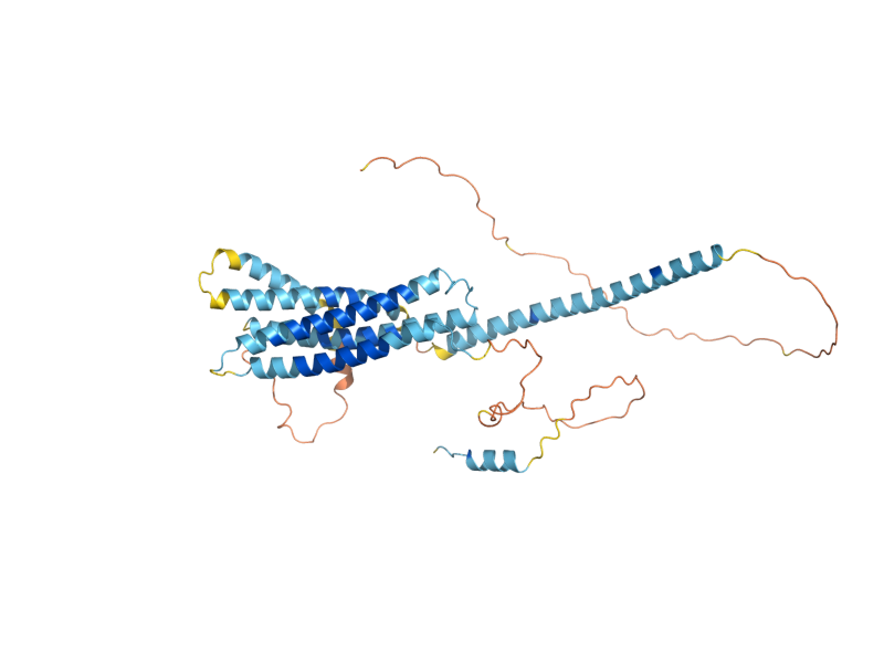 AlphaFold predicted structure of TLG2