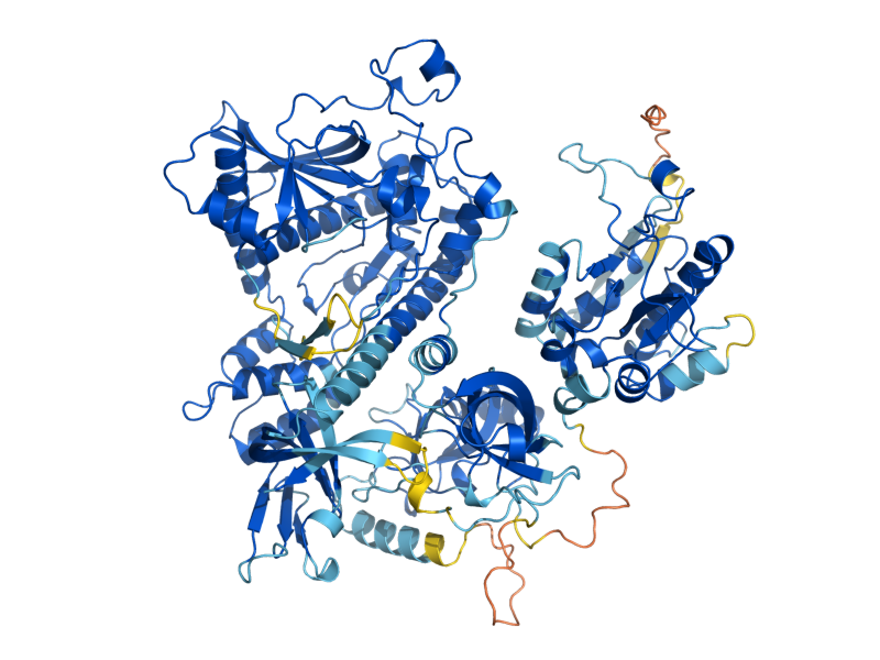 AlphaFold predicted structure of DIS3