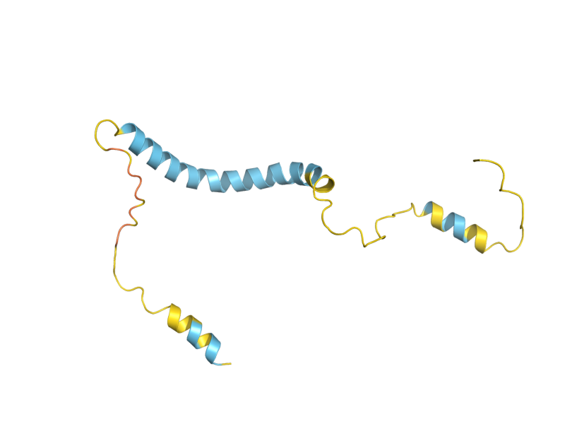 AlphaFold predicted structure of MIM1