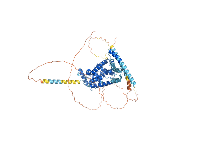 AlphaFold predicted structure of MDM38