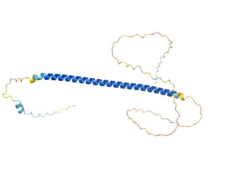 AlphaFold predicted structure of YAP7