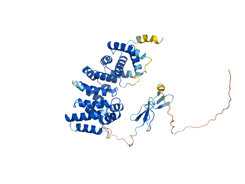 AlphaFold predicted structure of SIL1
