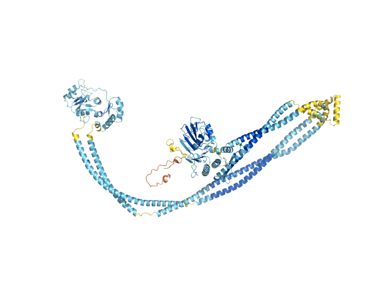 AlphaFold predicted structure of SMC5