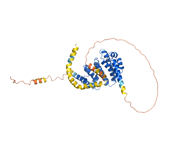 AlphaFold predicted structure of PEX15
