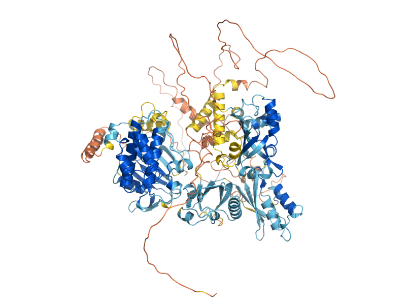AlphaFold predicted structure of PSK2