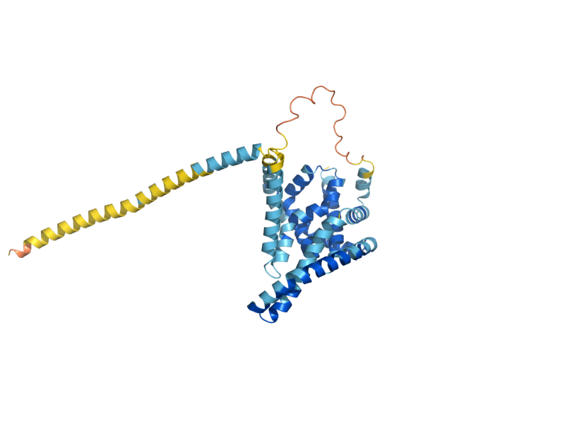 AlphaFold predicted structure of RRT8