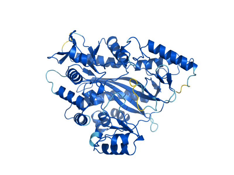 AlphaFold predicted structure of GSH2