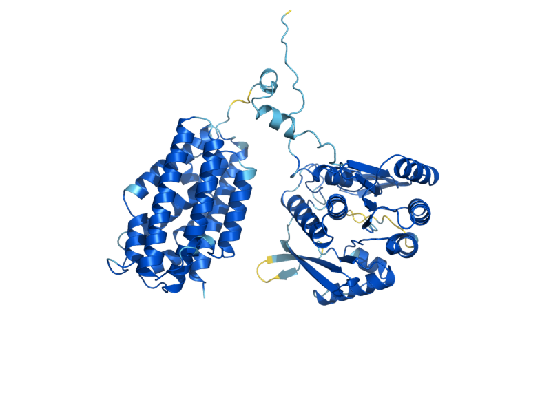 AlphaFold predicted structure of THI20