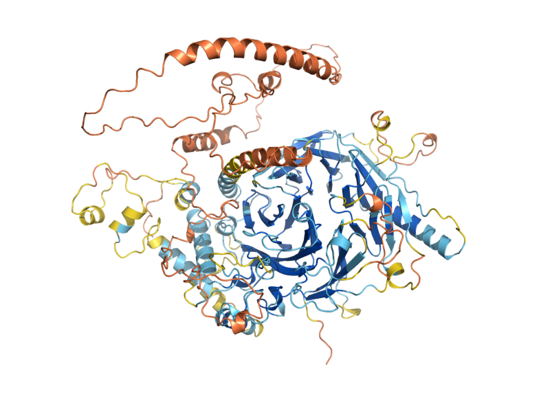 AlphaFold predicted structure of CRT10