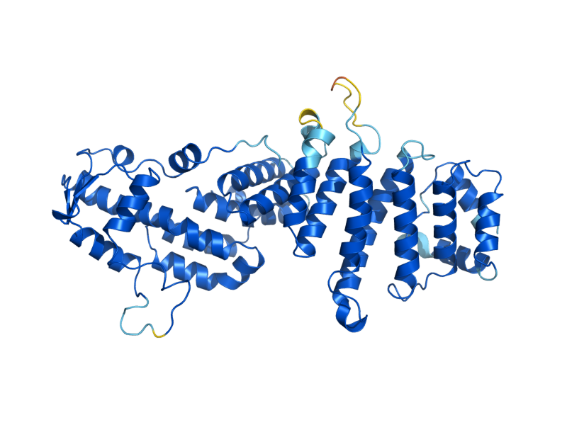AlphaFold predicted structure of THP1