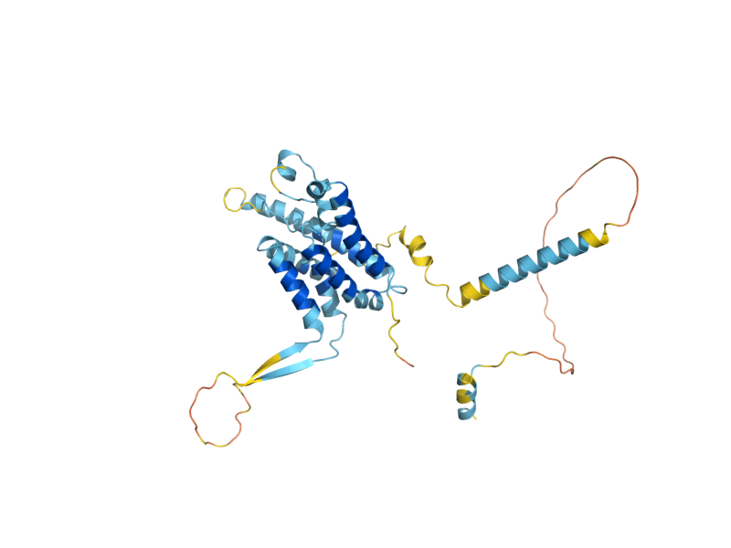 AlphaFold predicted structure of DSC2