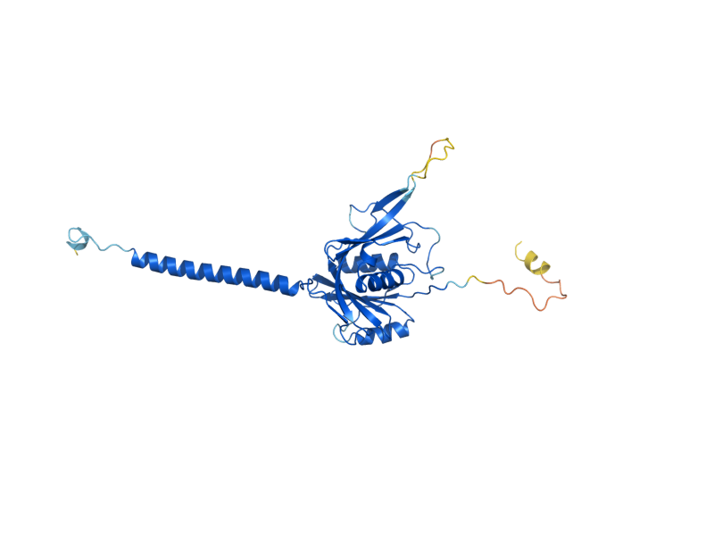 AlphaFold predicted structure of BRX1
