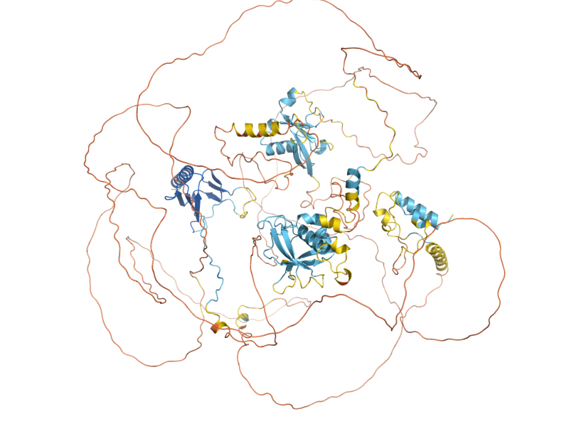 AlphaFold predicted structure of AVO1