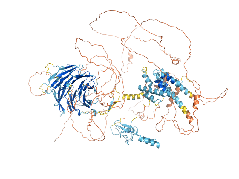 AlphaFold predicted structure of RTC1
