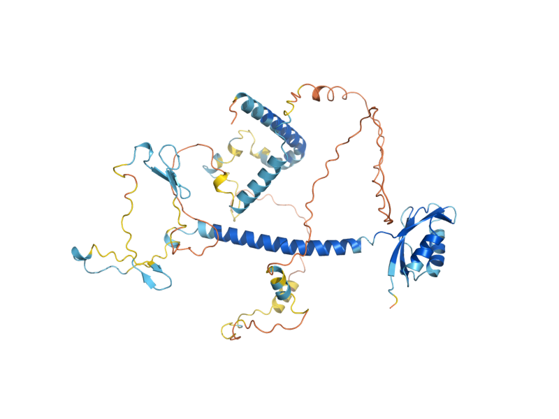 AlphaFold predicted structure of NOP8