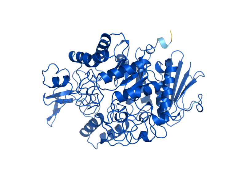 AlphaFold predicted structure of IMA2