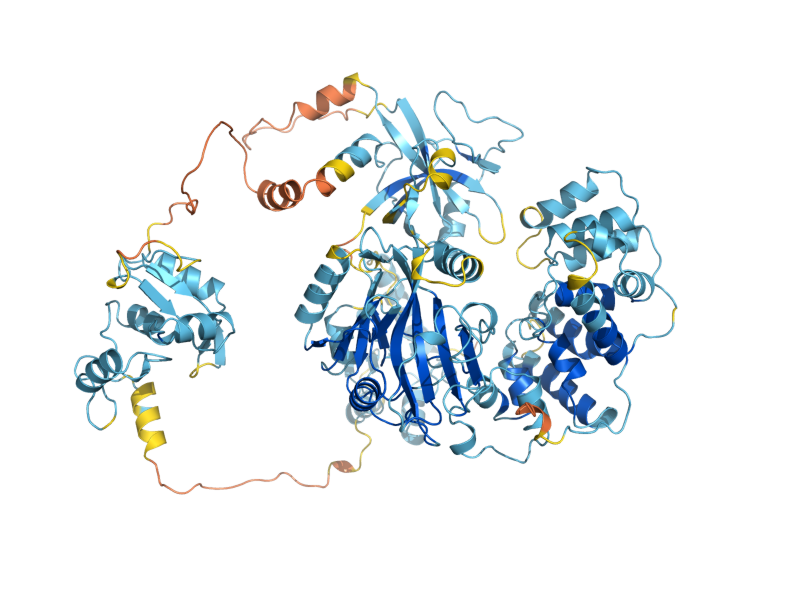 AlphaFold predicted structure of DNL4