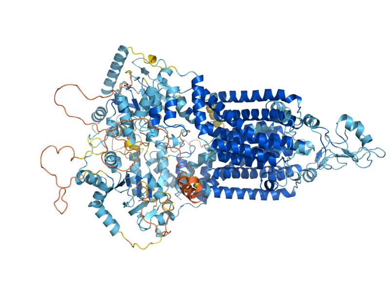 AlphaFold predicted structure of AUS1