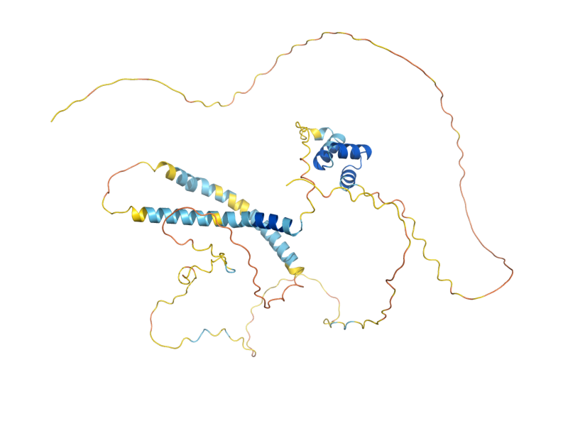 AlphaFold predicted structure of CUE5
