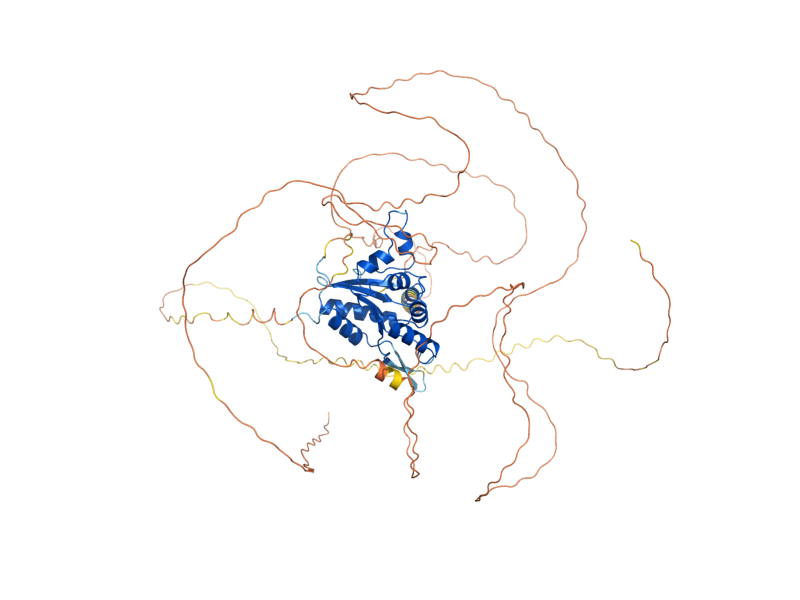 AlphaFold predicted structure of VHS3