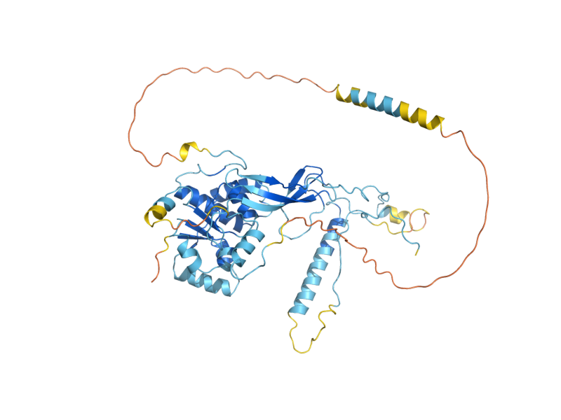 AlphaFold predicted structure of NOB1