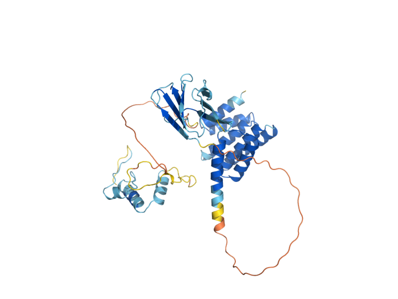 AlphaFold predicted structure of SGT1